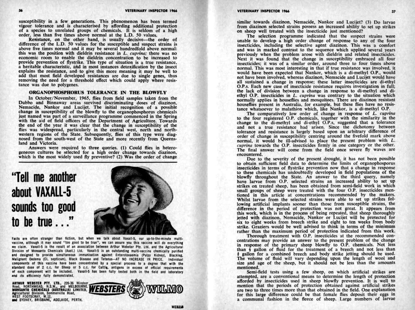 1966 Page 36 37